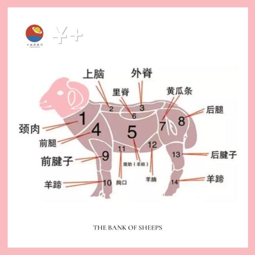 “买肉涨肉”小羊第四季 | THE BANK OF SHEEP 商品图8