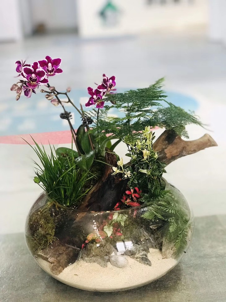 精致现代风玻璃盆景