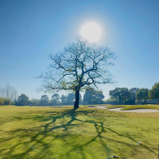 安吉龙王溪高尔夫俱乐部 Anji King Valley Country Club | 湖州 球场 | 浙江  |  中国 商品图5