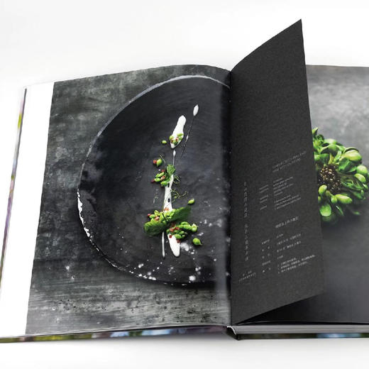 【官方发售】大董艺术作品集｜中国意境菜 二十四节气 集结大董40年文化精髓 商品图1