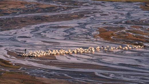 “买肉涨肉”小羊第四季 | THE BANK OF SHEEP 商品图1