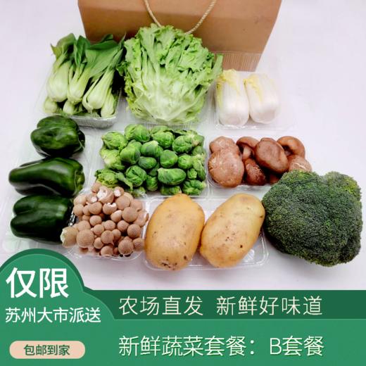 润汇农业-蔬菜组合A/B/C 套餐可选（次日发） 商品图1