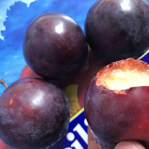 澳洲减肥李，女神必备，常吃可以减肥的水果，果肉呈红色，放软蜜甜无酸，特别好吃 商品图3