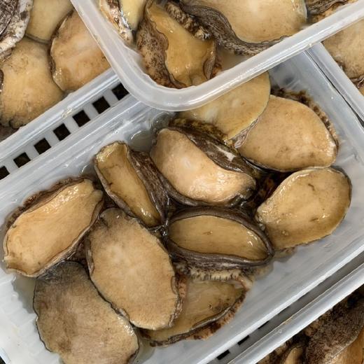 【鲍鱼肉】名贵海珍品，海洋软黄金，鲜活帮杀好（去壳去内脏） 净重约220克7-9个，杀前约500克 商品图3
