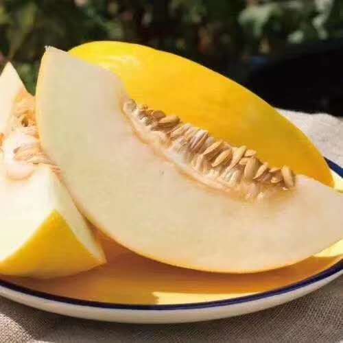 新鲜皇品冰糖蜜瓜超级甜蜜好吃一箱5只装12斤