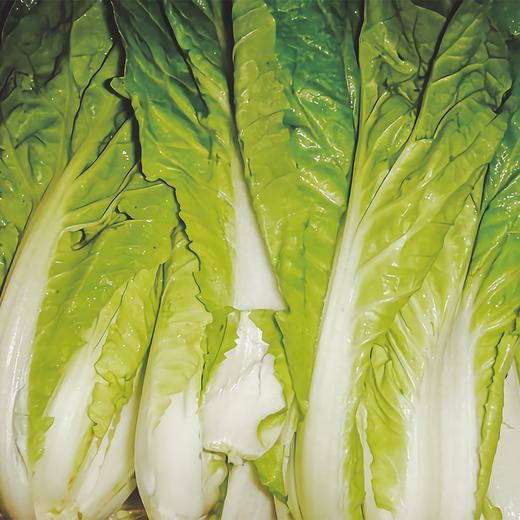 【海宁市区范围配送】小茭菜3元/斤