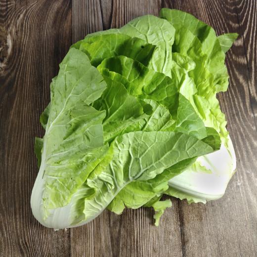 杭白菜1斤绿叶菜时令蔬菜现摘现发
