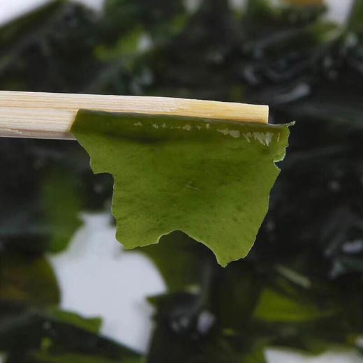 【野生海裙带菜】自然晾晒,色泽自然,干度足,不易碎/500g