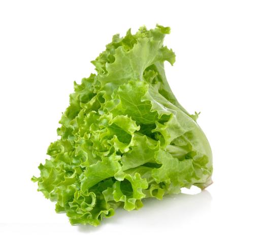 生菜1斤花叶生菜有机食品西餐沙拉蔬菜