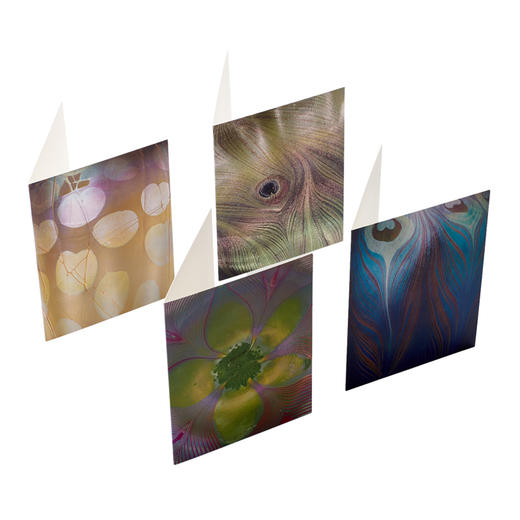 美国进口便签卡 大都会艺术博物馆创意简约随身便笺本便条纸 商品图3