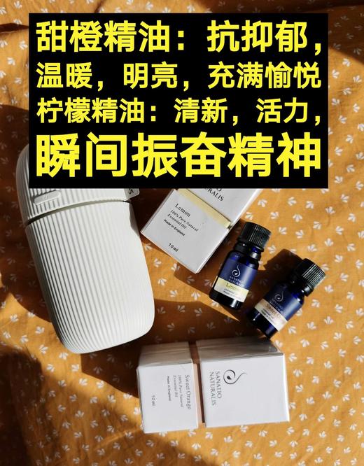 瞬间愉悦甜橙精油/10ml 商品图1