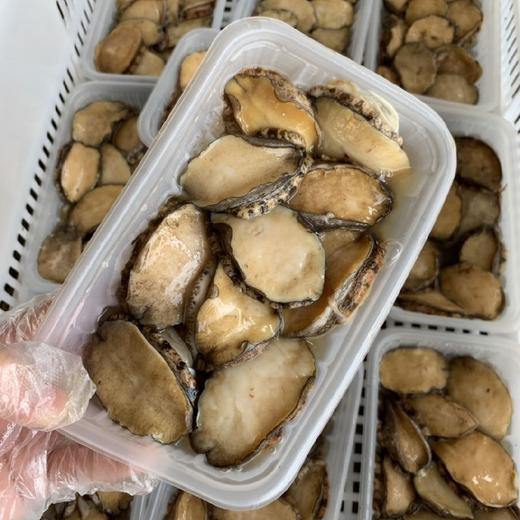 【鲍鱼肉】名贵海珍品，海洋软黄金，鲜活帮杀好（去壳去内脏） 净重约220克7-9个，杀前约500克 商品图1