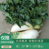 庞庞山—蔬菜组合（萝卜+菜芯或包心菜）5斤装（次日发） 商品缩略图0