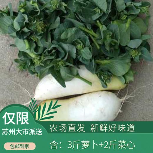 庞庞山—蔬菜组合（萝卜+菜芯或包心菜）5斤装（次日发） 商品图0