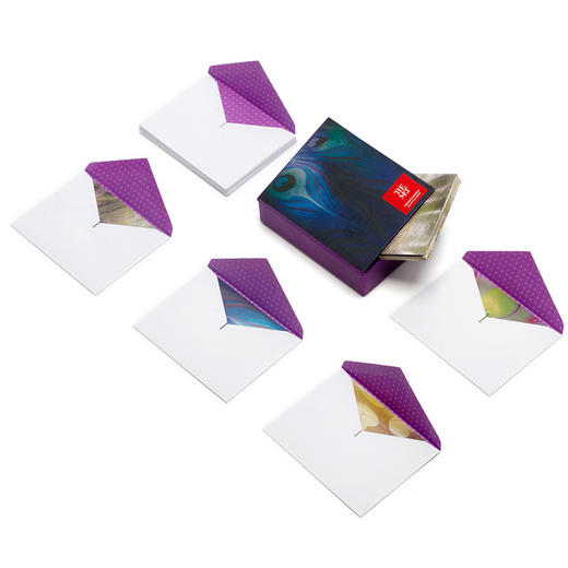 美国进口便签卡 大都会艺术博物馆创意简约随身便笺本便条纸 商品图4