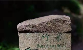 武夷山竹窠肉桂——猪肉