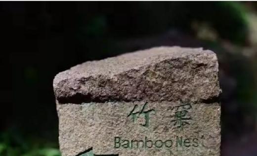 武夷山竹窠肉桂——猪肉 商品图0