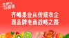 四、齐峰果业从传统农企到品牌电商战略之路 商品缩略图0