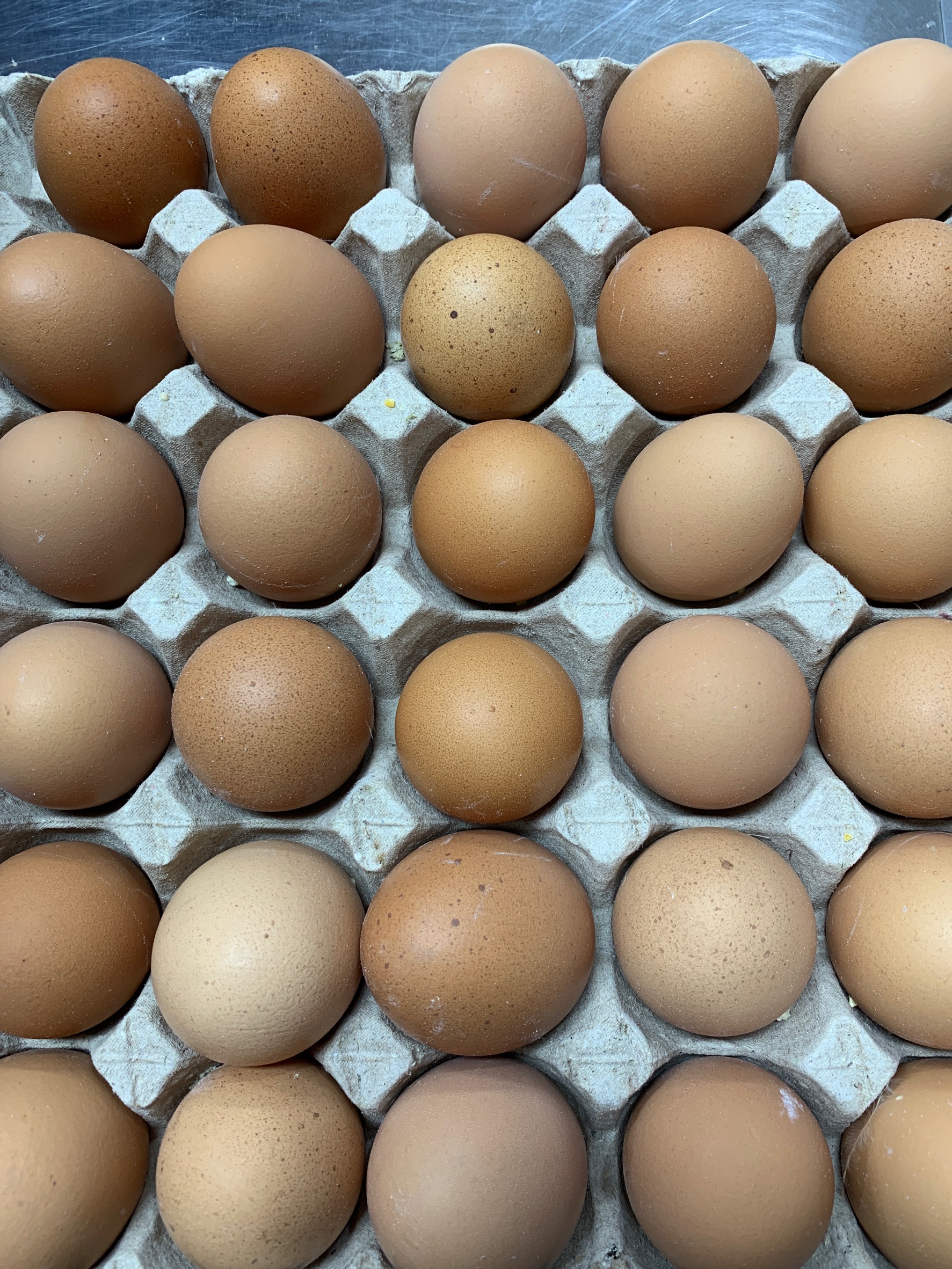 鸡蛋红每份一盘