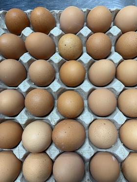 红鸡蛋每份一盘