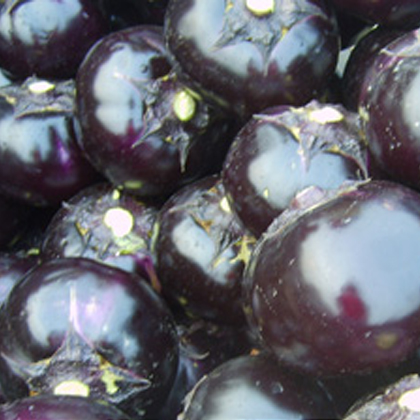 圆茄2斤（整个出售，按实际重量为准，多退少补）