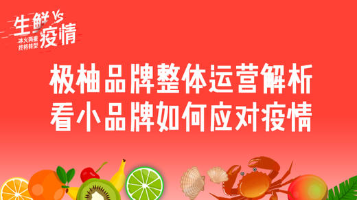 五、极柚品牌整体运营解析 商品图0