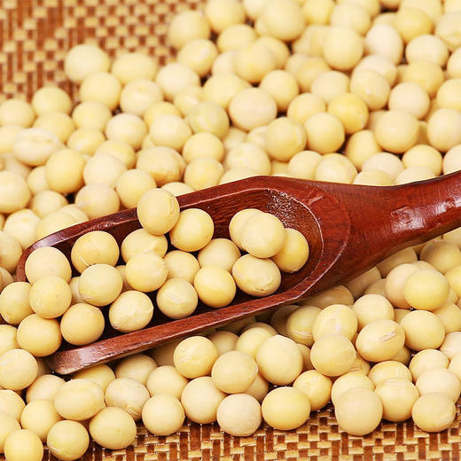 OAF食在有方有机黄豆740g 商品图2