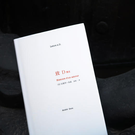 致D情史 商品图0