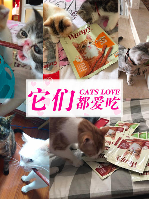顽皮猫零食磨牙棒猫条6g*3条*8包共24支 商品图4