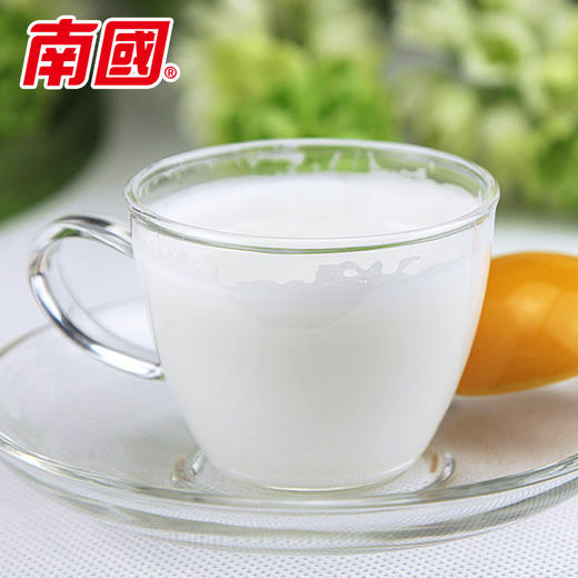 南国纯椰子粉360g 商品图4