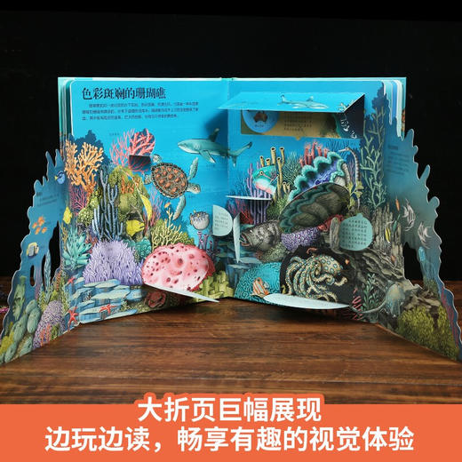 揭秘海洋 商品图3