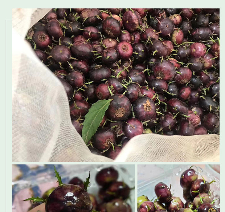 丽江高原红果参125g7盒