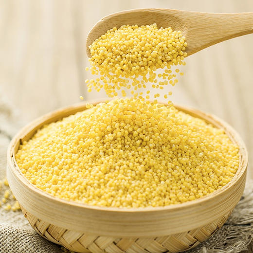 食在有方东北黄小米新米有机小米小米粥五谷杂粮黄米 商品图5