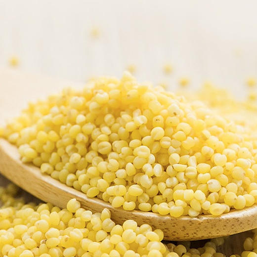 食在有方东北黄小米新米有机小米小米粥五谷杂粮黄米 商品图7