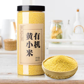 食在有方东北黄小米新米有机小米小米粥五谷杂粮黄米