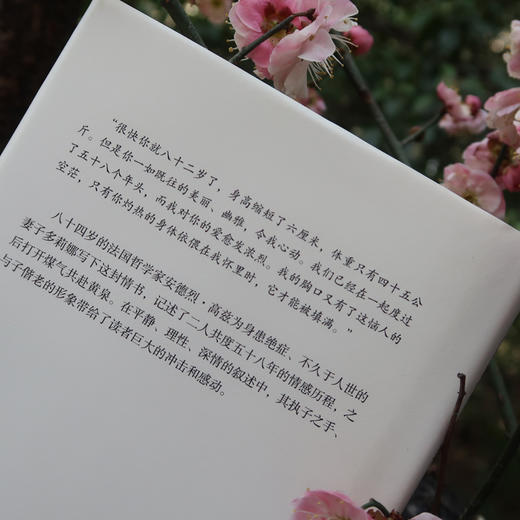 致D情史 商品图4