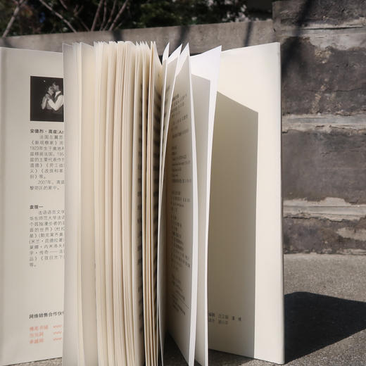 致D情史 商品图6