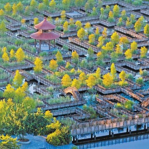 周末认识新朋友，探索五缘湾湿地公园水上迷宫（厦门) 商品图1