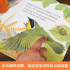 亮丽精美触摸书-全4册-小兔比利/小猫头鹰奥奇/小熊波比/小水獭奥斯卡 商品缩略图3