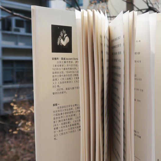 致D情史 商品图7