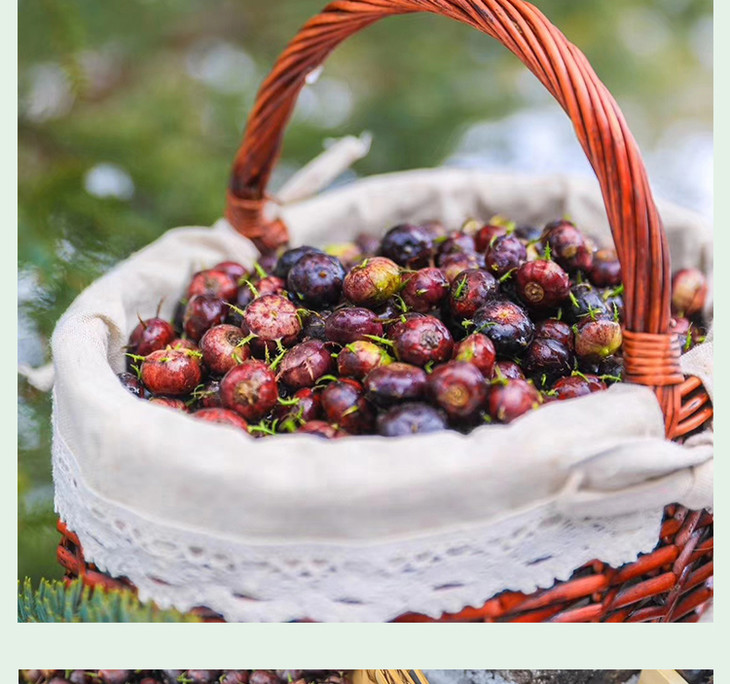 丽江高原红果参125g7盒