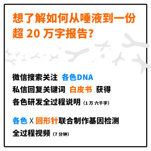 【0515 预览】各色DNA 个人基因检测解读套装 (适合 14 岁以上人群) 商品图6
