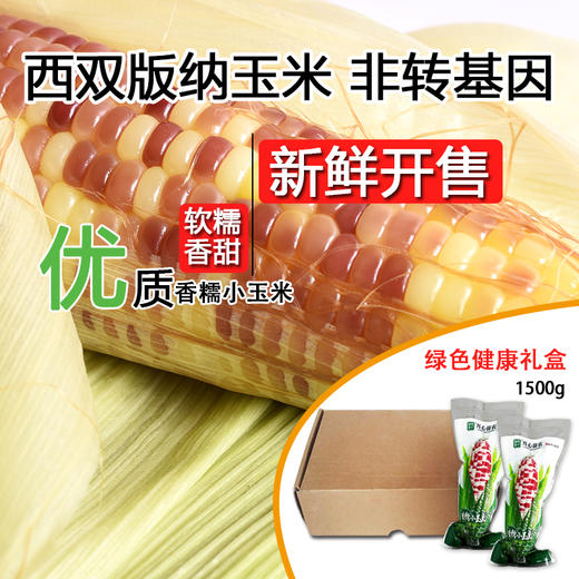 【糯】西双版纳香糯小玉米3斤装 优质玉米 新鲜开售 商品图7