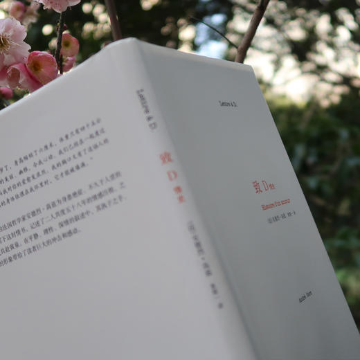 致D情史 商品图3