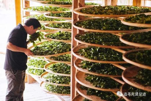 大红袍的十个常识 商品图0