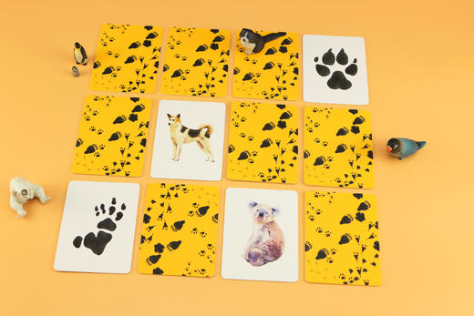 记忆da比拼：动物和它的脚印（2—6岁幼儿亲子互动益智启蒙游戏卡， 小手撕不烂，圆角设计更安全， 25种动物和它们的脚印， 锻炼观察力、想象力和记忆力） 商品图4