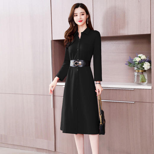 LJY-R2002-0105新款显瘦中长款大摆裙子 商品图2