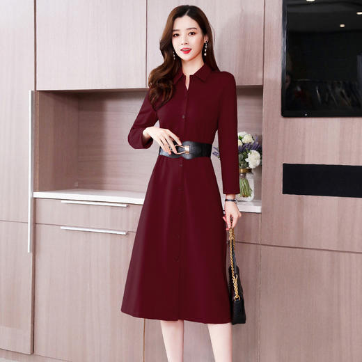 LJY-R2002-0105新款显瘦中长款大摆裙子 商品图0