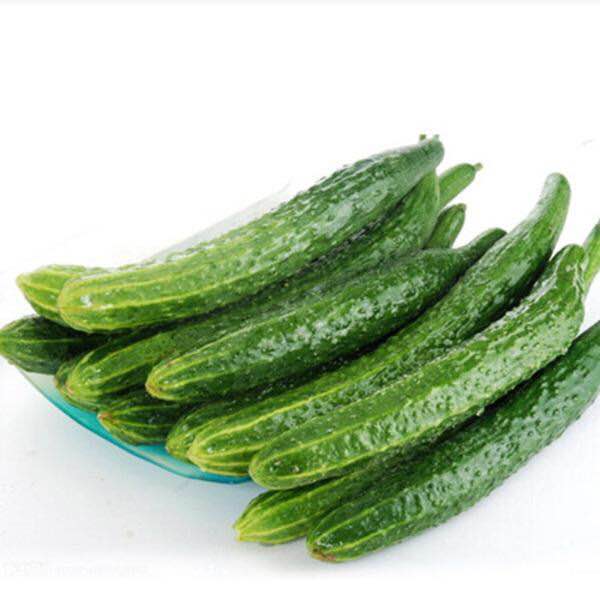 黄瓜（生鲜类商品当日取货，过期按取货日价格）