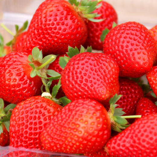 精品草莓 两斤装 商品图1